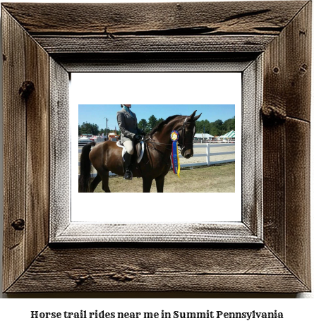 horse trail rides near me in Summit, Pennsylvania